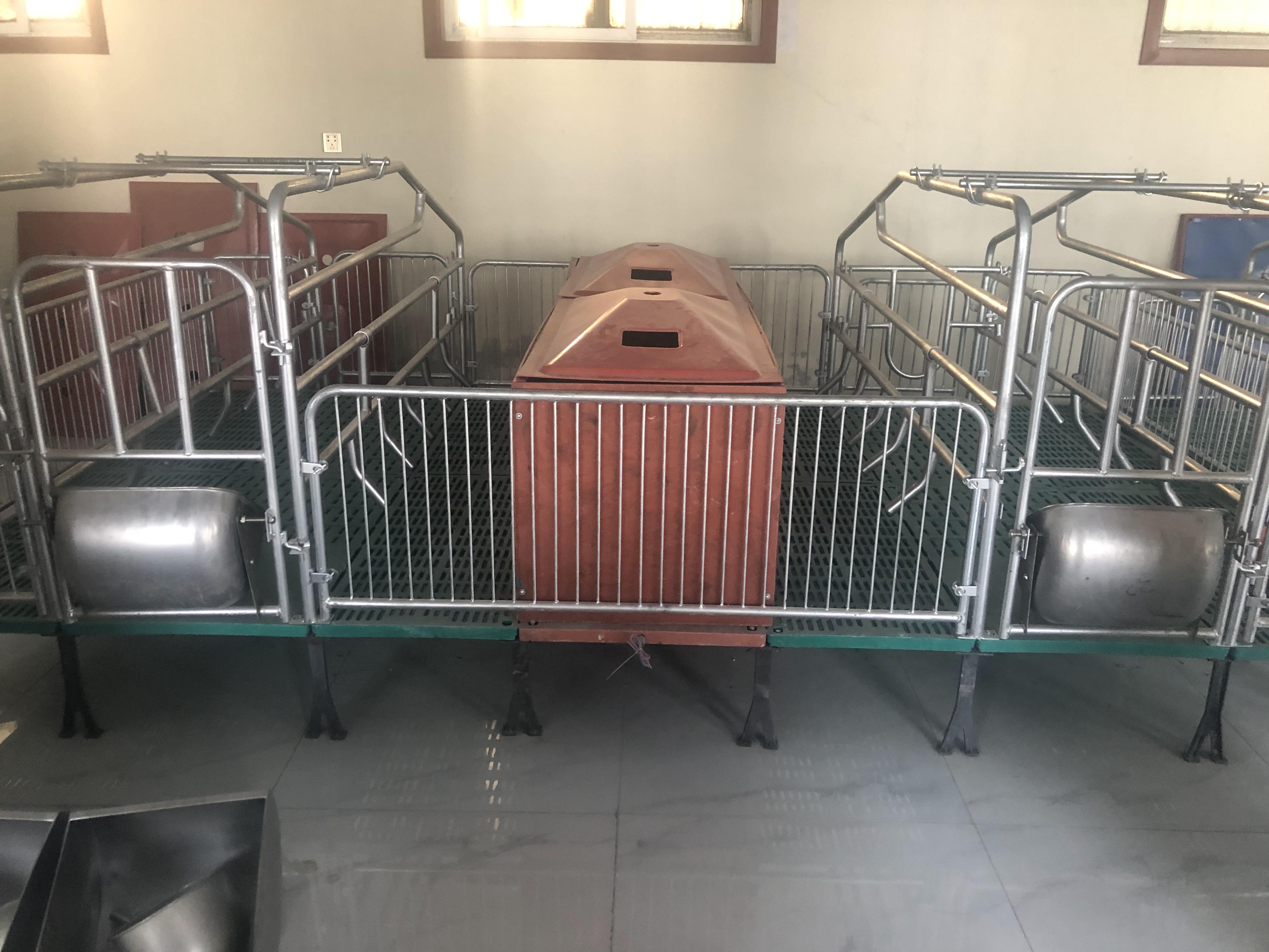 自動化養(yǎng)豬設(shè)備復合母豬產(chǎn)床好處