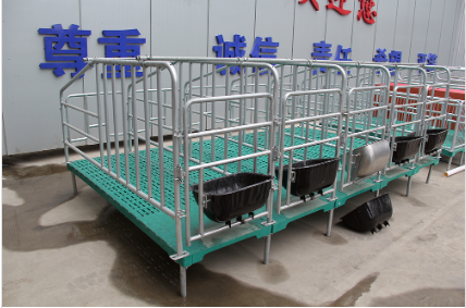 為什么要使用母豬定位欄？