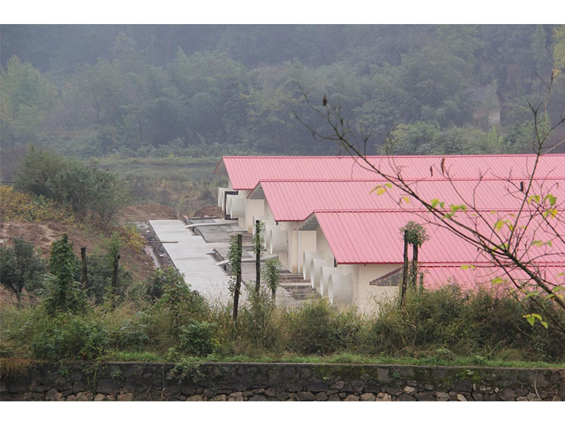 養(yǎng)殖新規(guī)出臺，農(nóng)民養(yǎng)豬面臨4大利好