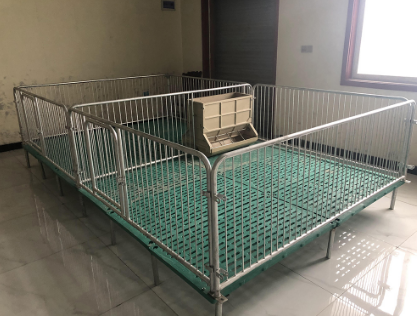  母豬定位欄好處這么多，怪不得豬場(chǎng)都在用！